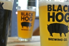 Black Hog Brewing in Oxford, CT